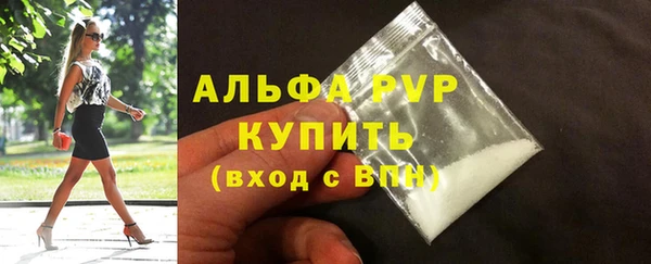 дмт Богданович