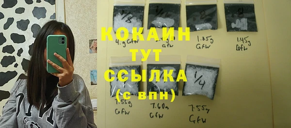 дмт Богданович