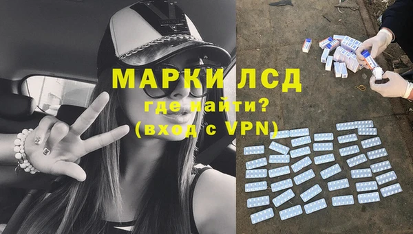 шишки Белокуриха