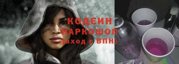 шишки Белокуриха