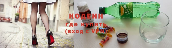 шишки Белокуриха