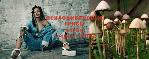 дмт Богданович