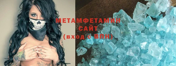 шишки Белокуриха