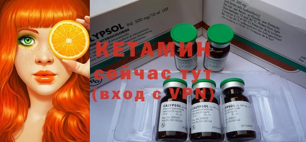 дмт Богданович