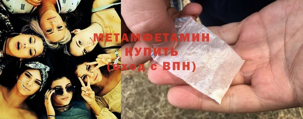 шишки Белокуриха