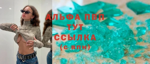 дмт Богданович